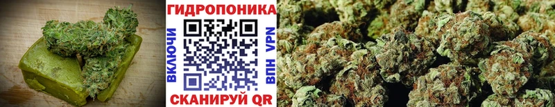 Cannafood марихуана  Купить закладки  Раменское 