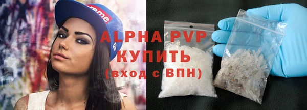индика Арсеньев