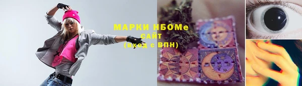 индика Арсеньев