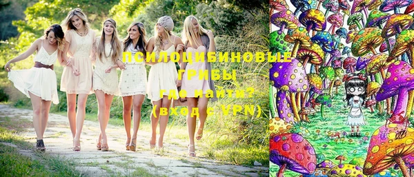 индика Арсеньев