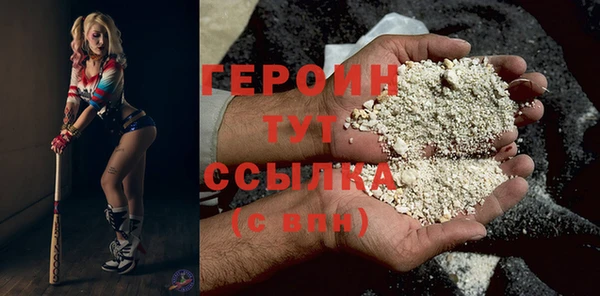 индика Арсеньев