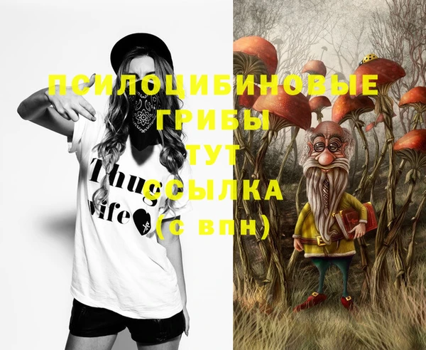 гашик Аркадак