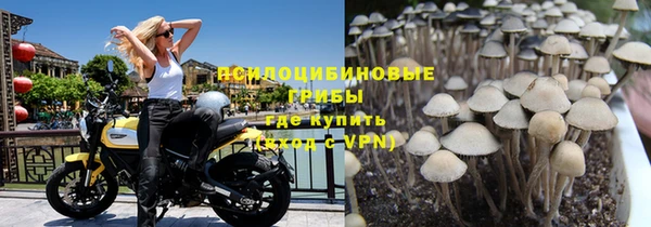 бутират Баксан