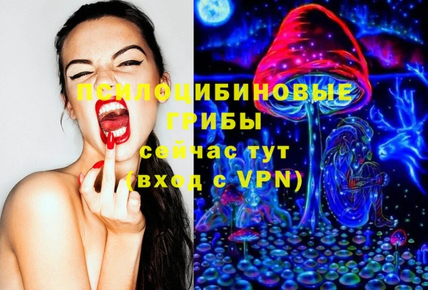 индика Арсеньев