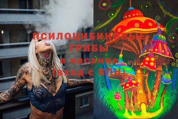 гашик Аркадак