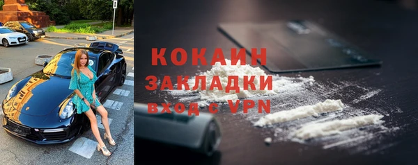 гашик Аркадак